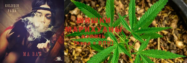 2c-b Верхний Тагил