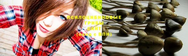 2c-b Верхний Тагил